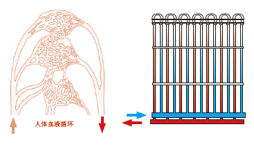 毛細管網輻射采暖系統簡介